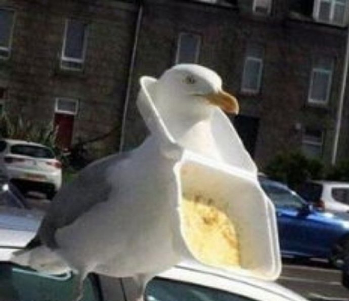 干饭相关的沙雕微信表情包