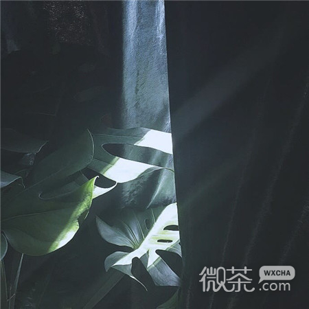 一看就舒心的独一无的唯美背景图