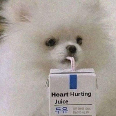 沙雕青年必备头像