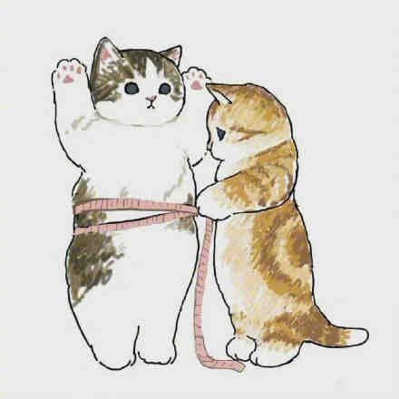 猫咪减肥计划可爱微信表情包