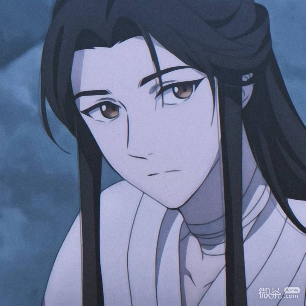 《天官赐福》仙乐太子谢怜微信头像