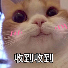 收到套系微信表情包
