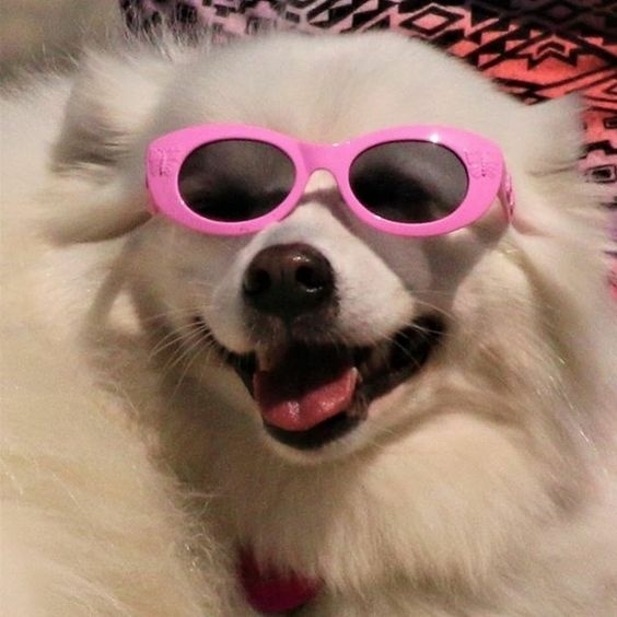 搞怪趣味微信头像