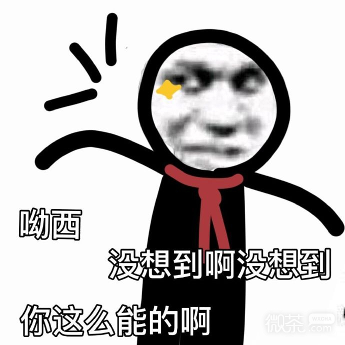 沙雕恶搞可爱熊猫头微信表情包