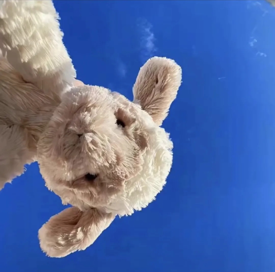 02.22抖音最火头像