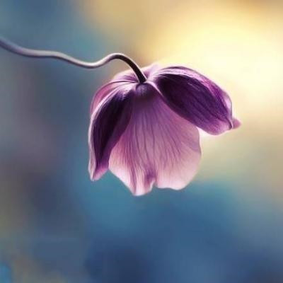 中年妈妈的个性微信头像