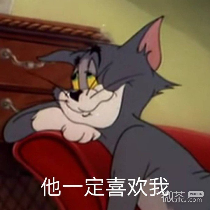 猫和老鼠撩人怼人微信表情包