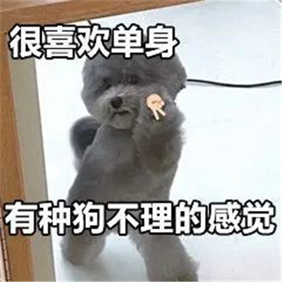 挺实用的表情