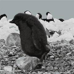 沙雕拜年微信表情包