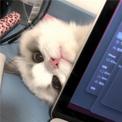 超级棒的适合女孩子的精致感头像