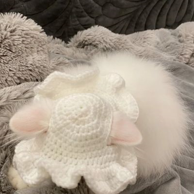 超萌超可爱又招财的猫咪头像