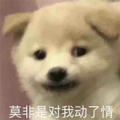 心情很低落时使用的表情包