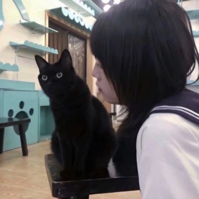 真人美女抱喵星人微信头像