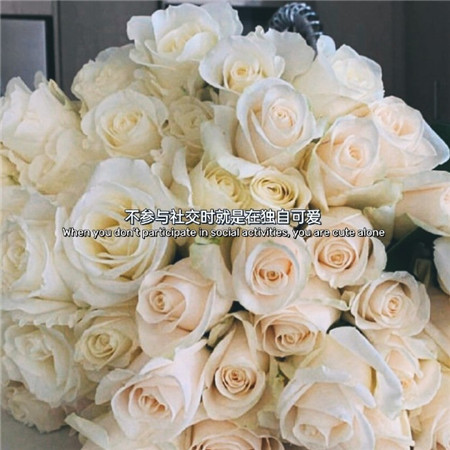 温柔努力文字控必备的微信聊天背景图