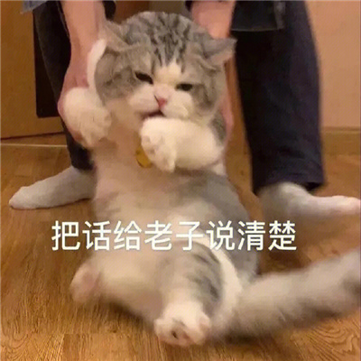 斗图专用的聊天表情