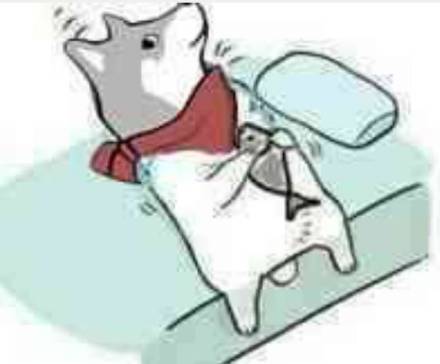 沙雕摸鱼搞笑微信表情包