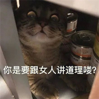 最火表情包合集