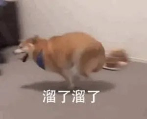 溜了溜了套系沙雕微信表情包