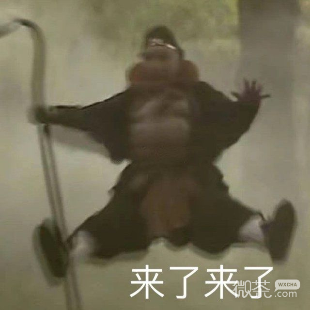 新颖沙雕可爱微信表情包