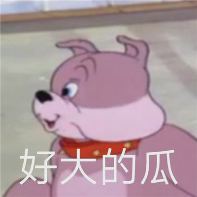 网上很流行的趣味表情包