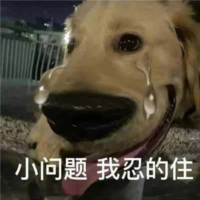 大冤种表情包合集
