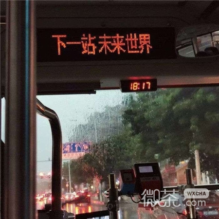 浪漫且小众的微信朋友圈背景图