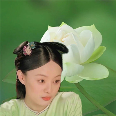 甄嬛传有趣的姐妹头像
