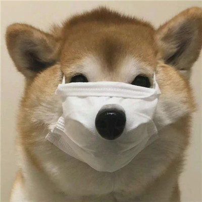 聊天趣味性表情包