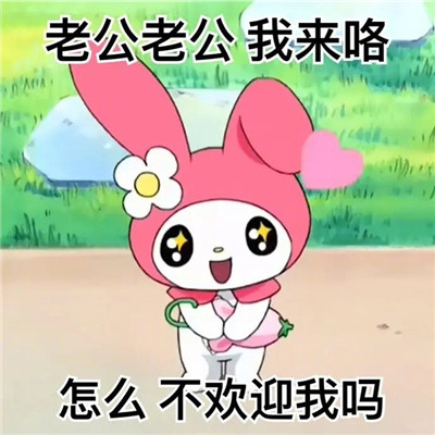 美乐蒂可爱卡通微信表情包