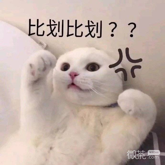 沙雕可爱聊天微信表情包