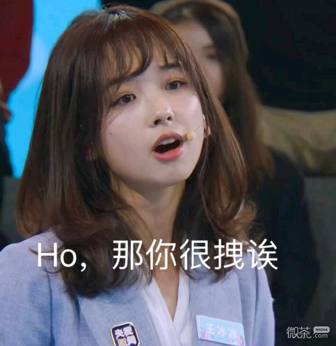 可爱主持人王冰冰微信表情包