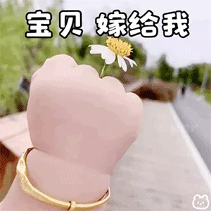 戒指的沙雕搞笑恶搞微信表情包