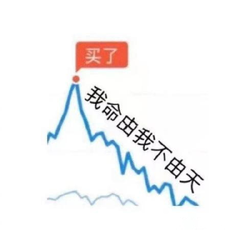 当代年轻人股票基金现状微信表情包