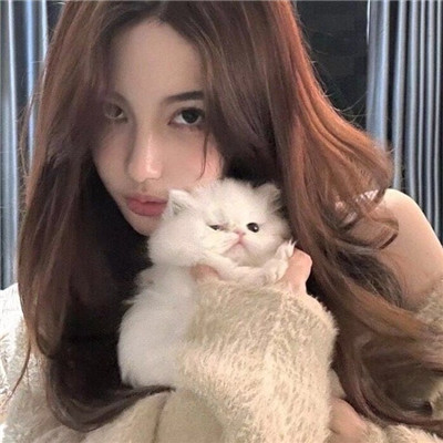 抱着猫的高颜值女生微信头像