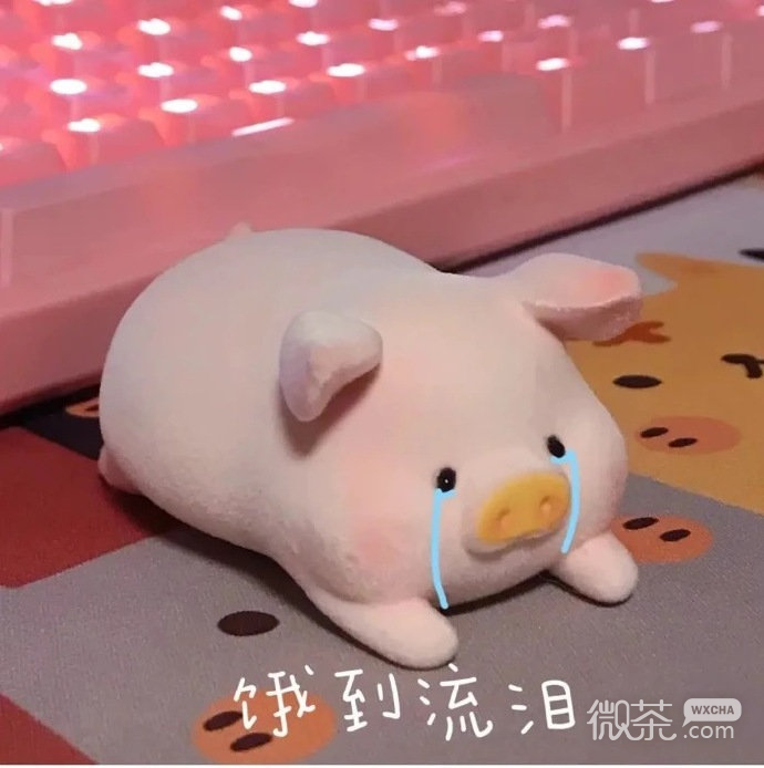 玩偶猪猪搞笑微信表情包