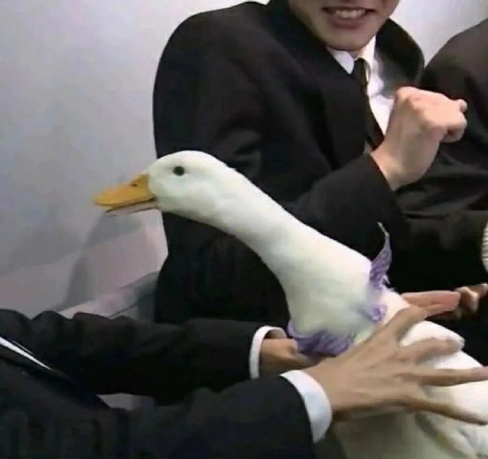 彰显家庭地位的沙雕情侣头像