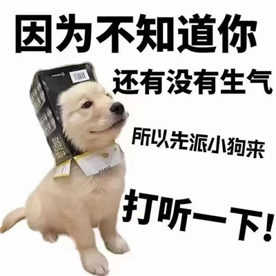 万能斗图表情