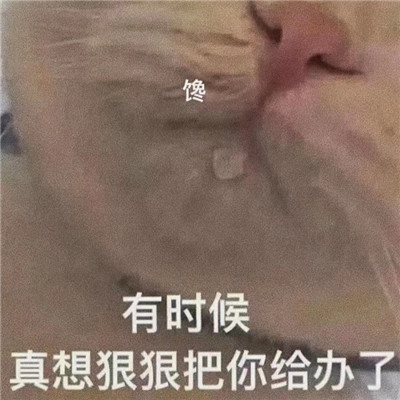 情侣之间发的色色聊天表情