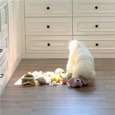 与众不同耐用又耐看的个性头像