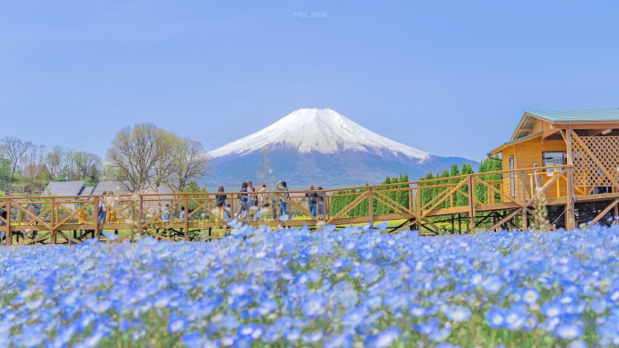 富士山的初夏微信素材图片