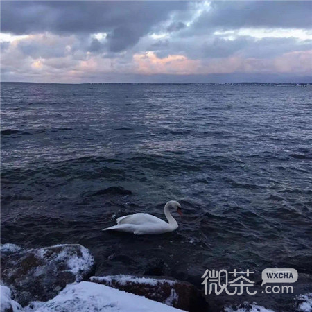 伤感ins风的大海微信朋友圈配图