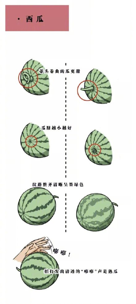 挑水果实用小妙招微信素材图片