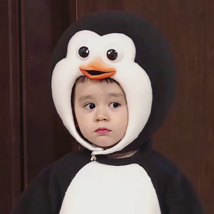 可爱的本特利微信头像