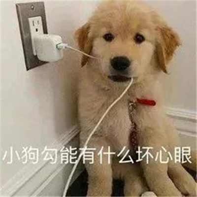 让你聊天变的有趣的表情