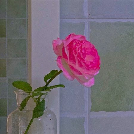 治愈的温暖舒心日常生活微信背景图