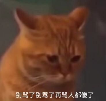 新颖沙雕可爱微信表情包