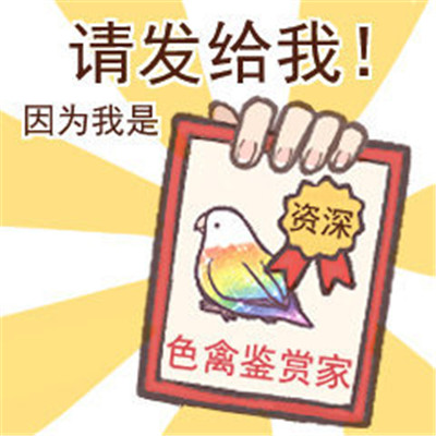 好笑色禽鸟表情包