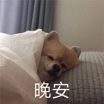 晚安套系的可爱微信表情包