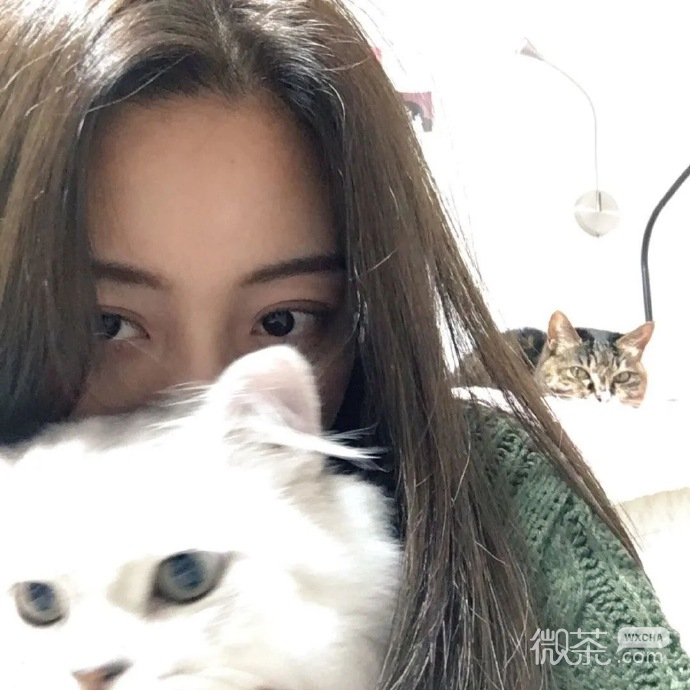 真人美女抱喵星人微信头像