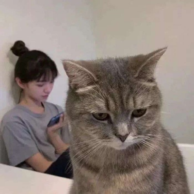 可爱萌萌的好看的宠物头像